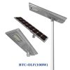 ĐÈN ĐƯỜNG BLUE CARBON BCT-OLF-100W