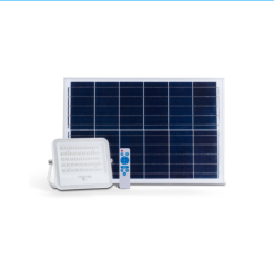 ĐÈN PHA NĂNG LƯỢNG RẠNG ĐÔNG 30W