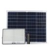 ĐÈN PHA NĂNG LƯỢNG RẠNG ĐÔNG 100W